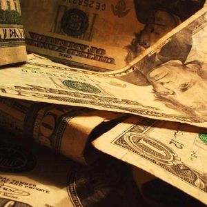 Meet your Posher, Barney